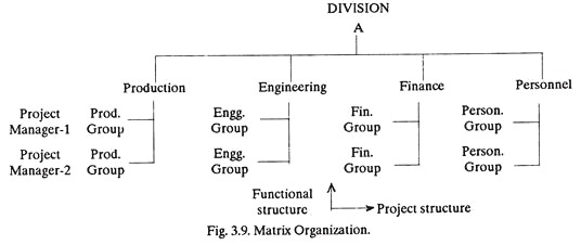 Matrix Organization