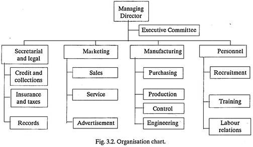 Organisation Chart