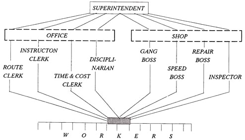 Taylor's Functional Organisation