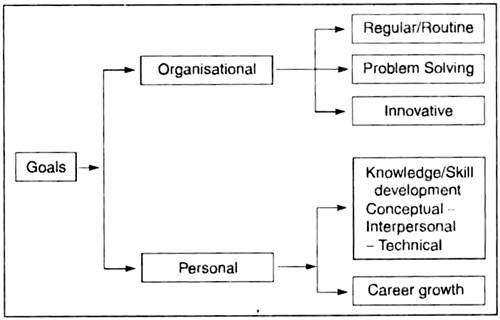 Classifies and Explains the 'Goals'