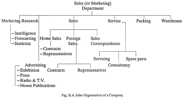 Sales Organisation of a Company