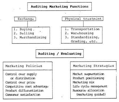 Concept of Marketing Audit