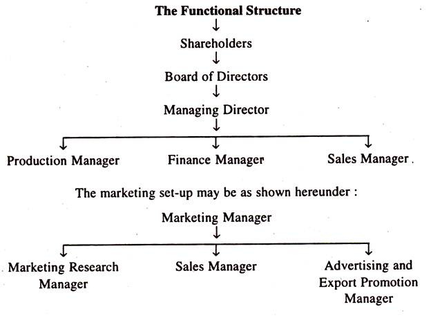 Functional Structure