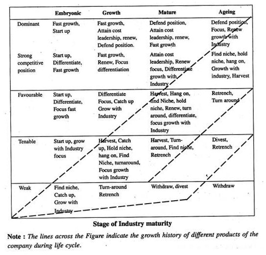 Stage of Industry maturity