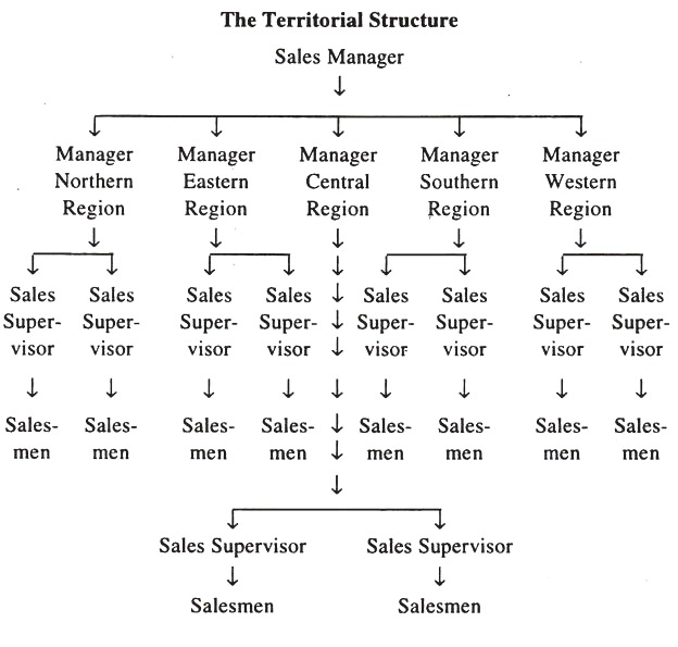 Territorial Structure