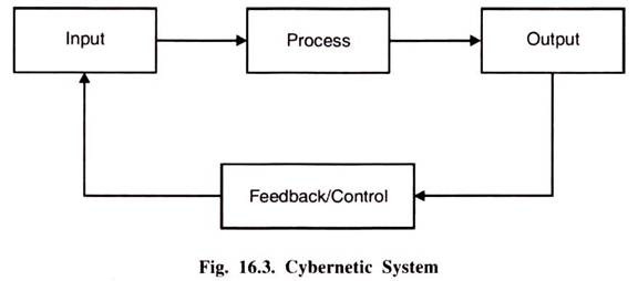 Cybernetic System 