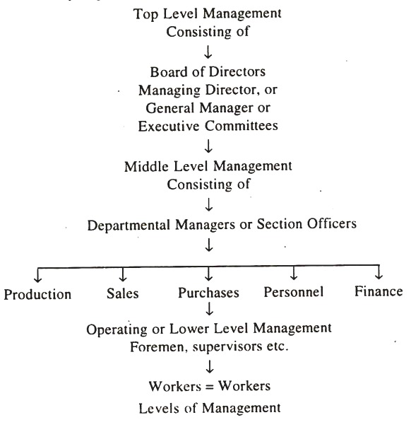 Levels of Managment