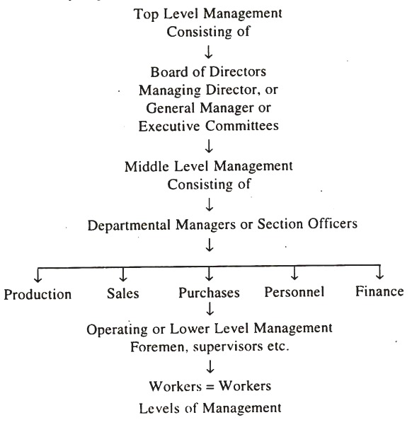 Levels of Managment