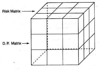 Risk Matrix and D.P. Matrix