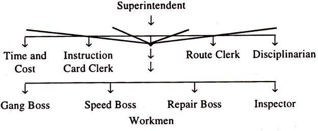 Plan of Functional Organisation