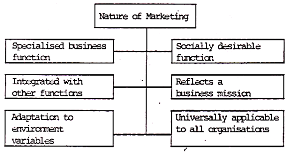 marketing management essay