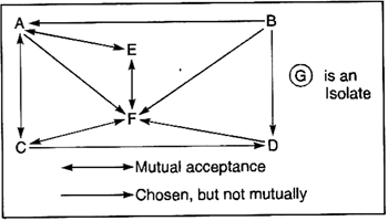 Sociometric Analysis