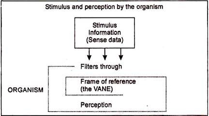 Stimulus and Perception by the Organism