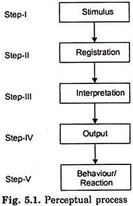 Perceptual Process