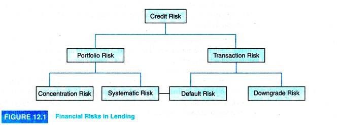 Financial Risks in Lending