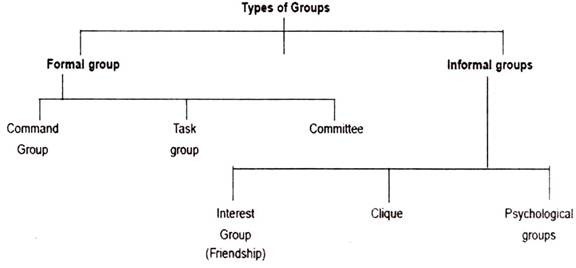 Types of Groups