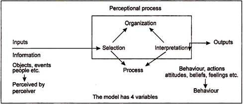 Perceptual Process