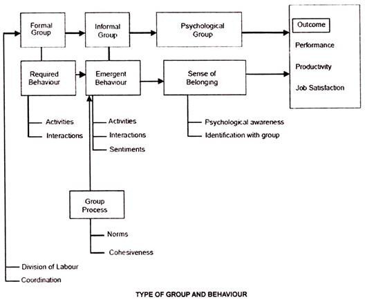 Types of Group and Behaviour 