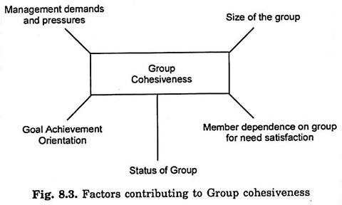 Factors Contributing to Group Cohesiveness