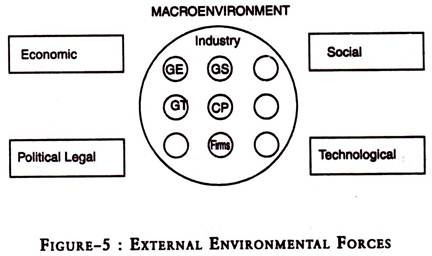 External Environmental Forces