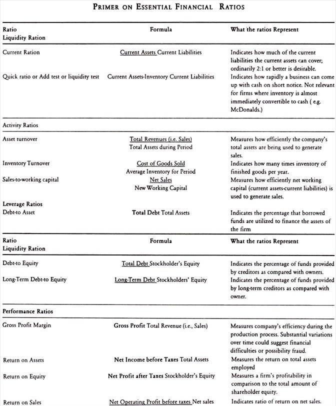 Primer on Essential Financial Ratios