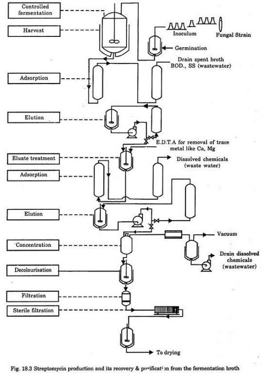 How to Manufacture Drugs? | Business